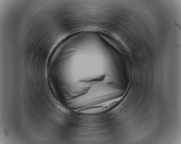 X0000091001232200708241441