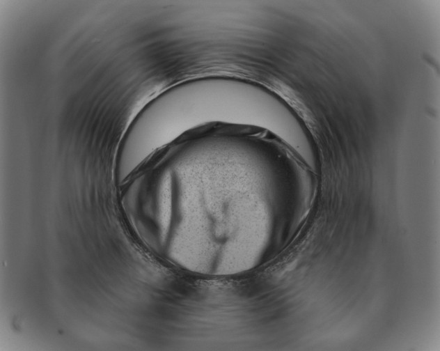 X0000091001234200708241441