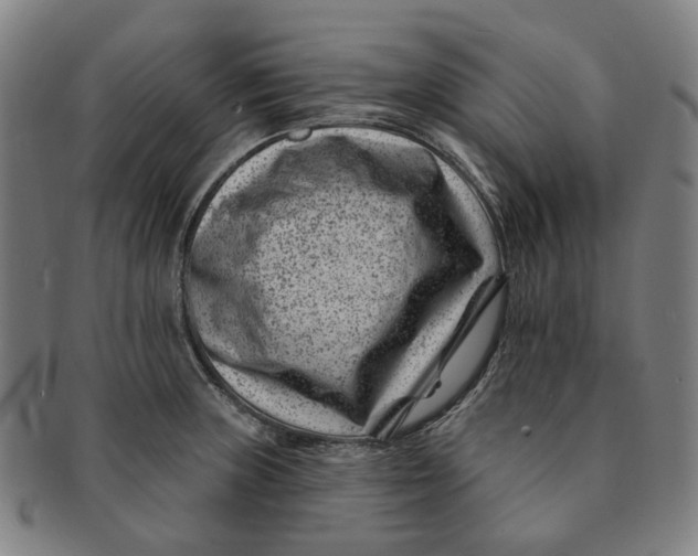 X0000091001235200708241441