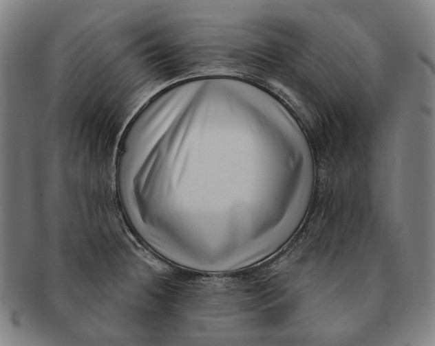 X0000091001236200708241441