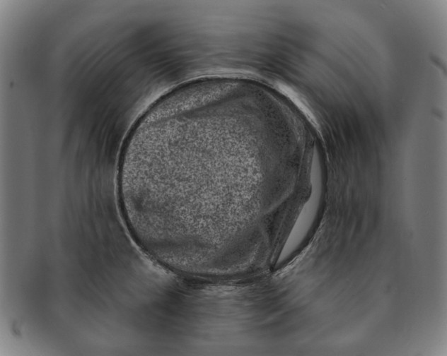 X0000091001237200708241441