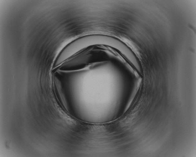 X0000091001238200708241441