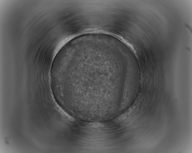 X0000091001239200708241441