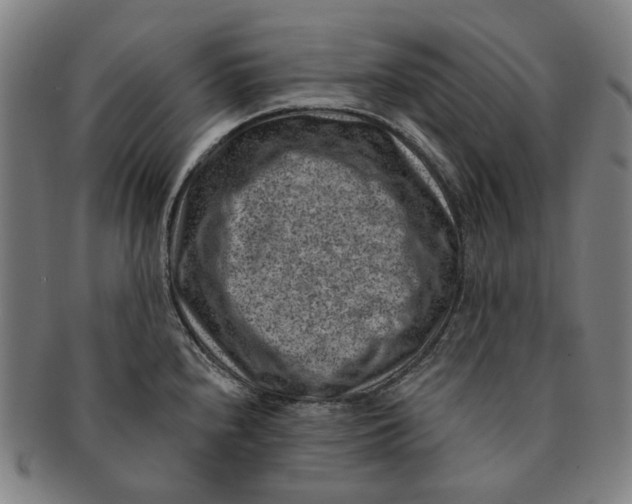 X0000091001240200708241441