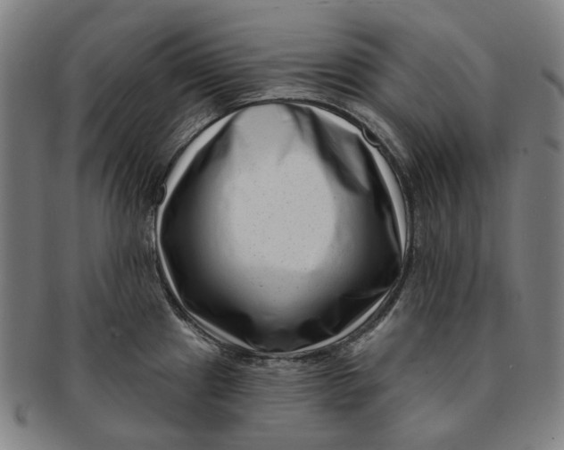 X0000091001241200708241442