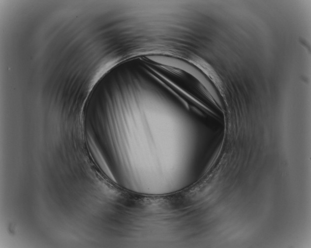 X0000091001242200708241442