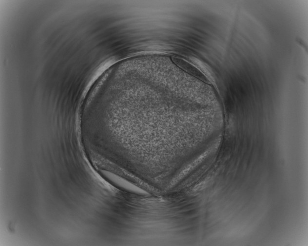 X0000091001243200708241442