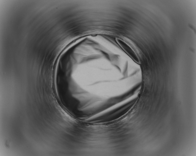 X0000091001244200708241442