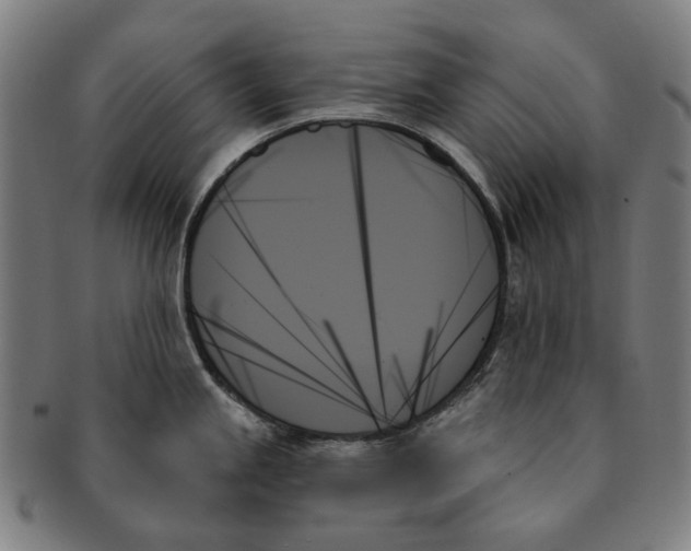 X0000091001245200708241442