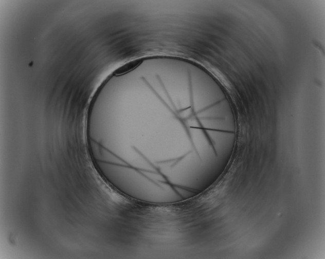 X0000091001246200708241442