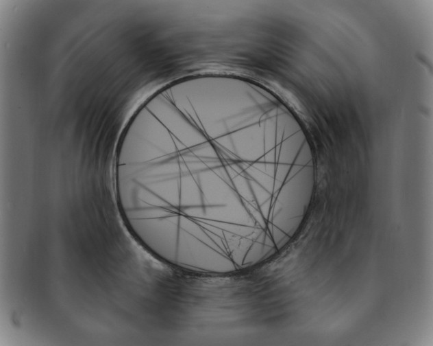 X0000091001247200708241442