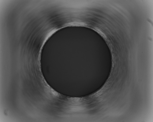 X0000091001248200708241442