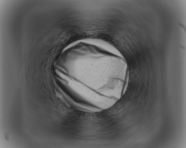 X0000091001249200708241441