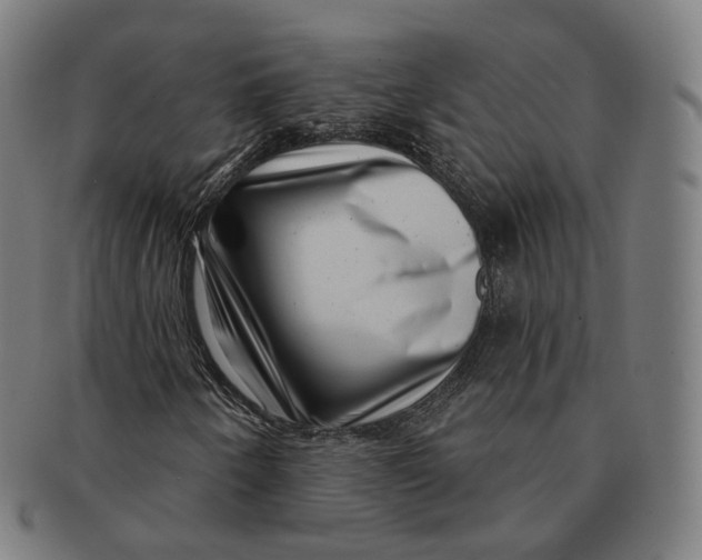 X0000091001250200708241441