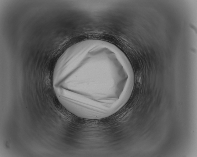 X0000091001252200708241441
