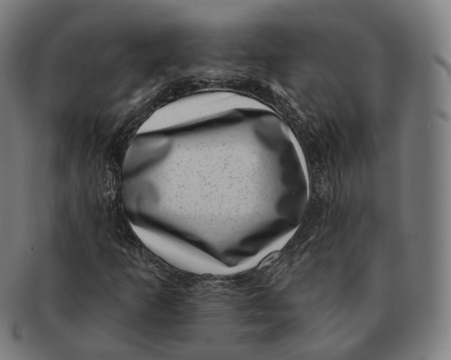 X0000091001253200708241441