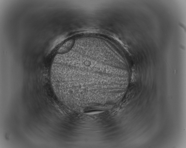 X0000091001255200708241441