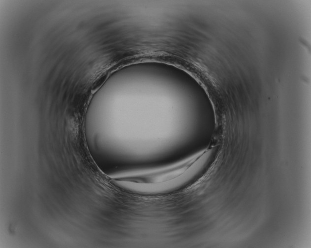 X0000091001257200708241441