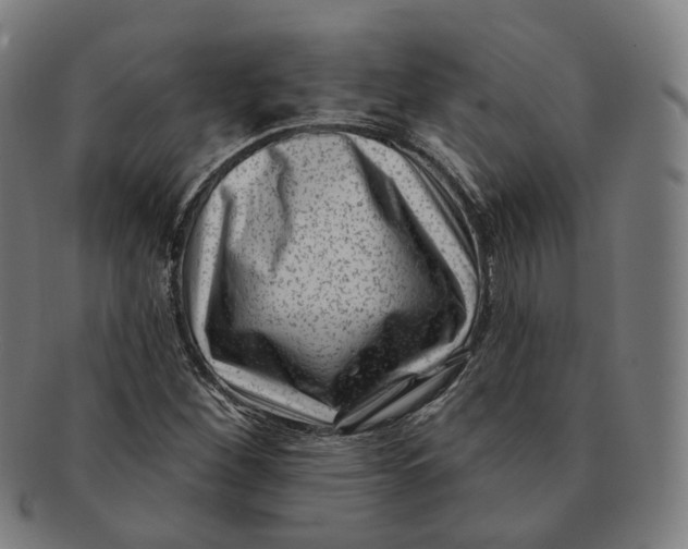 X0000091001260200708241441