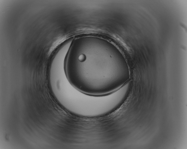 X0000091001261200708241441