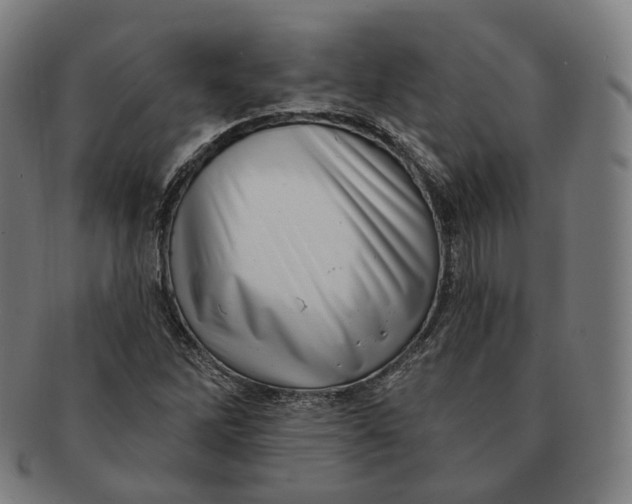 X0000091001262200708241440