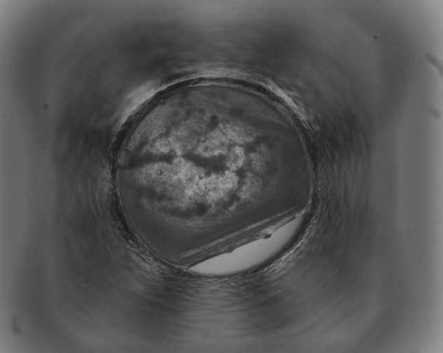 X0000091001263200708241440