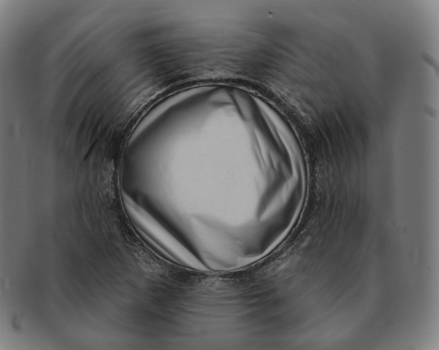 X0000091001265200708241440