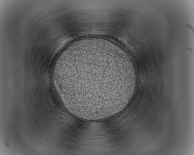 X0000091001266200708241440