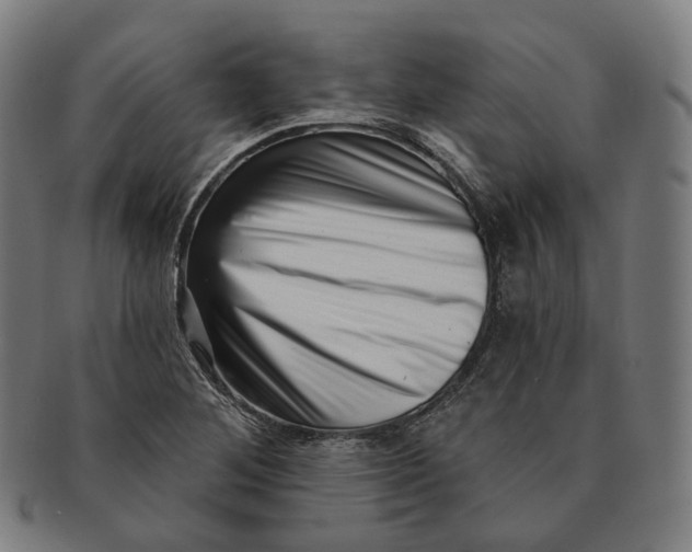 X0000091001268200708241440