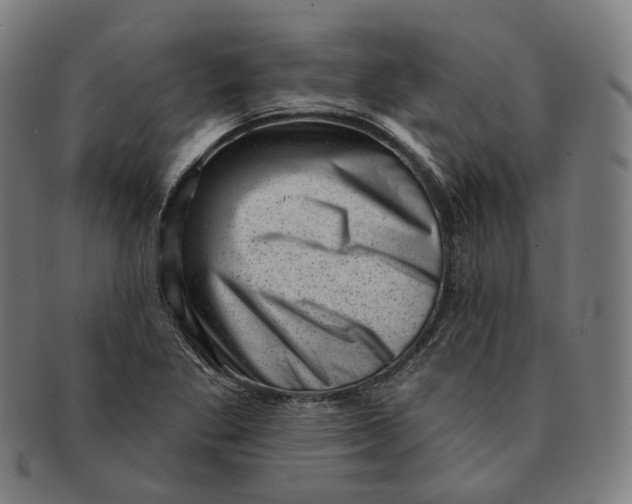 X0000091001269200708241440