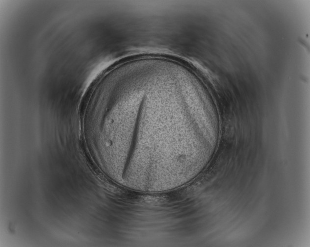 X0000091001271200708241440