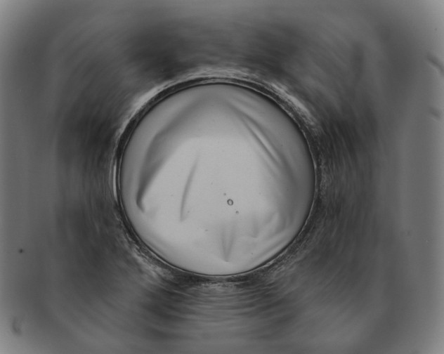 X0000091001272200708241440