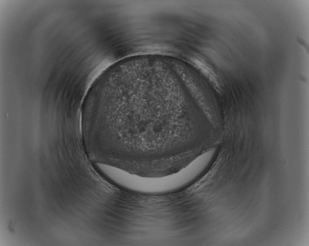 X0000091001275200708241440