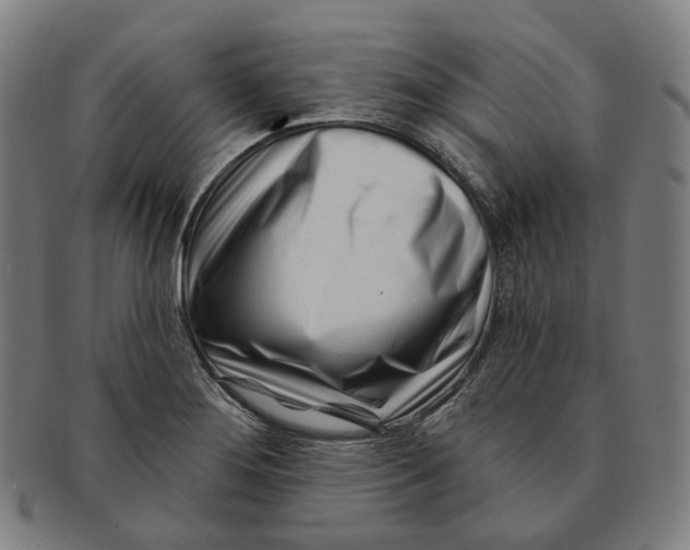 X0000091001276200708241440