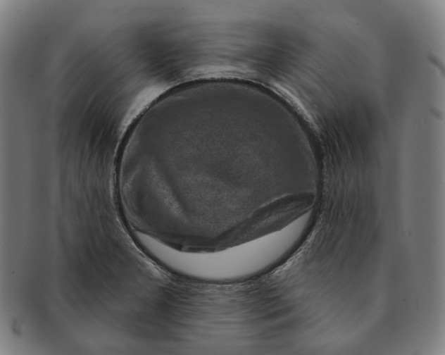 X0000091001277200708241440