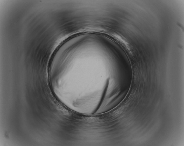X0000091001280200708241440