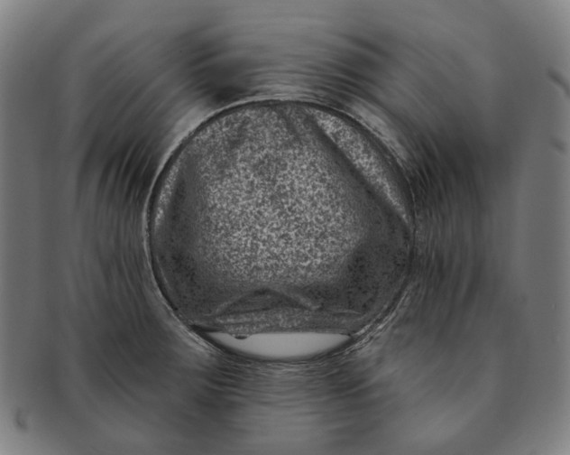 X0000091001283200708241440