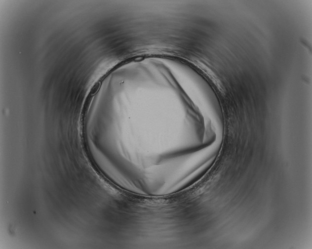 X0000091001285200708241440