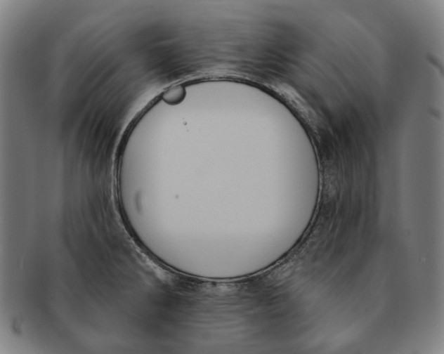 X0000091001286200708241440