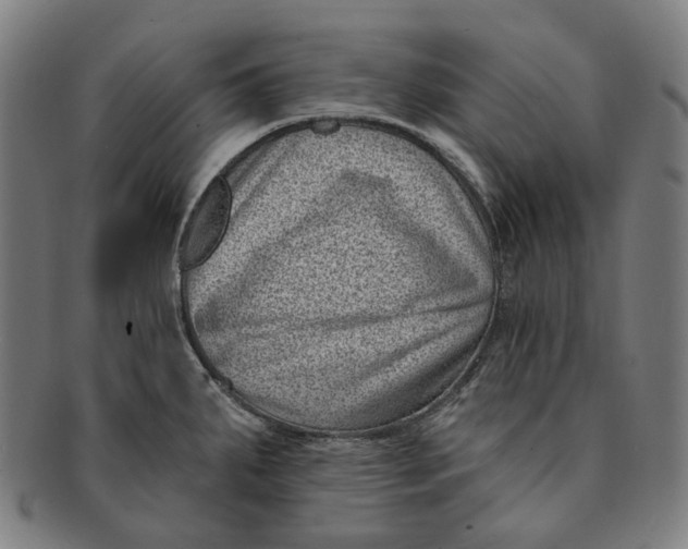 X0000091001287200708241440