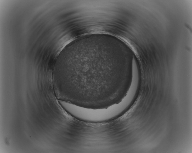 X0000091001289200708241440
