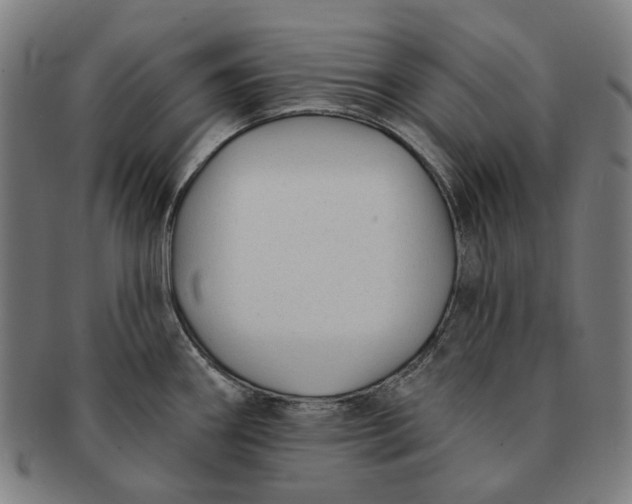 X0000091001290200708241440