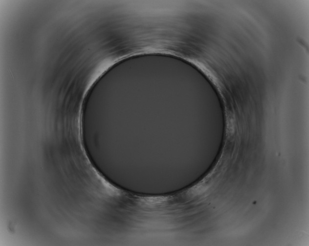 X0000091001294200708241440