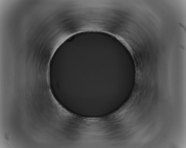 X0000091001295200708241440