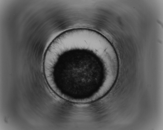 X0000091001296200708241440
