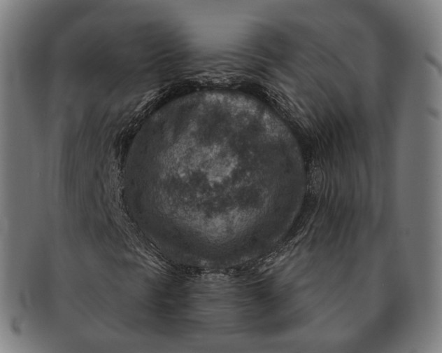 X0000091001297200708241439