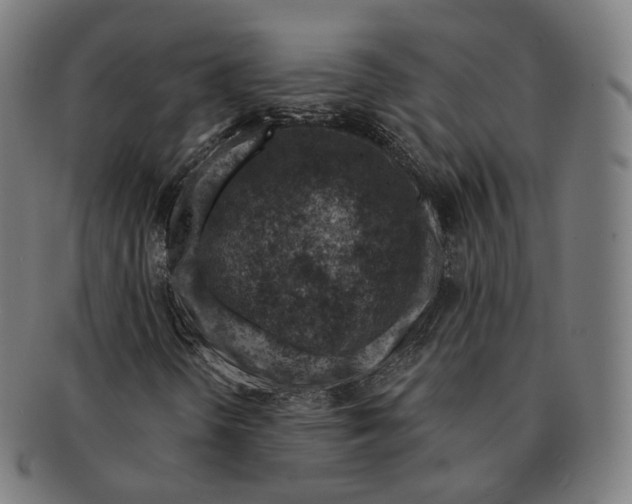 X0000091001298200708241439