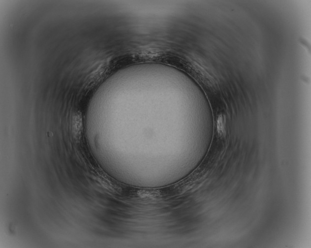 X0000091001299200708241439