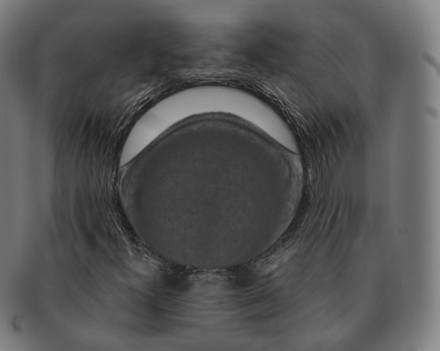 X0000091001300200708241439