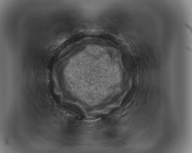 X0000091001301200708241439